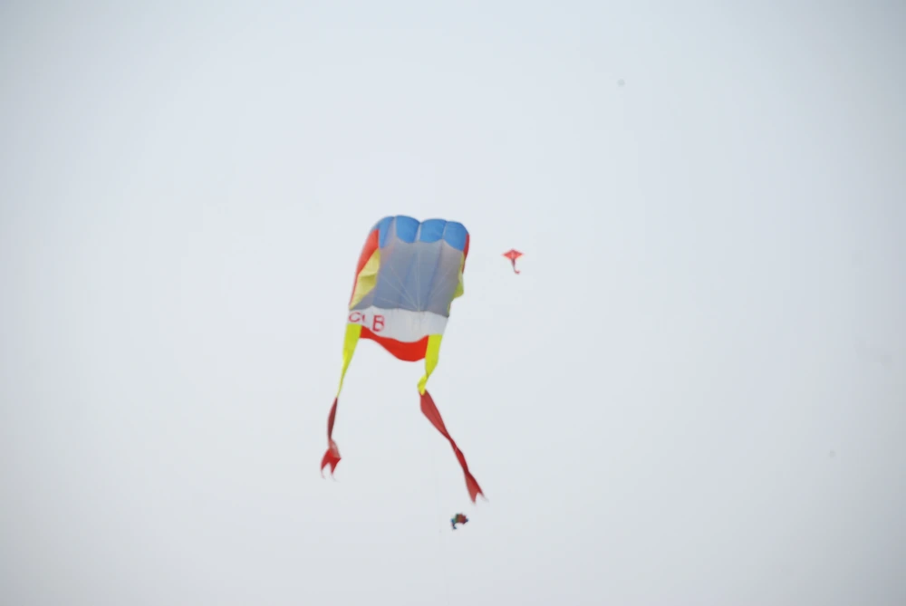 Trở lại đồng diều Hóc Môn sau vụ tai nạn ảnh 5