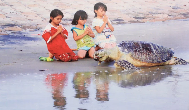 Những bức ảnh về sự biến đổi môi trường sống ở Việt Nam ảnh 10