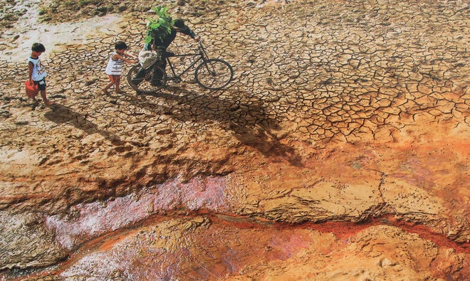 Những bức ảnh về sự biến đổi môi trường sống ở Việt Nam ảnh 7