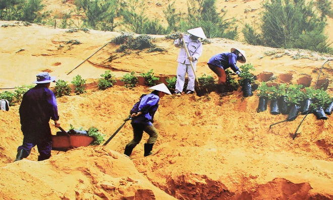 Những bức ảnh về sự biến đổi môi trường sống ở Việt Nam ảnh 2