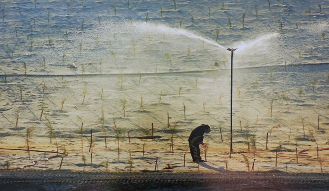 Những bức ảnh về sự biến đổi môi trường sống ở Việt Nam ảnh 8