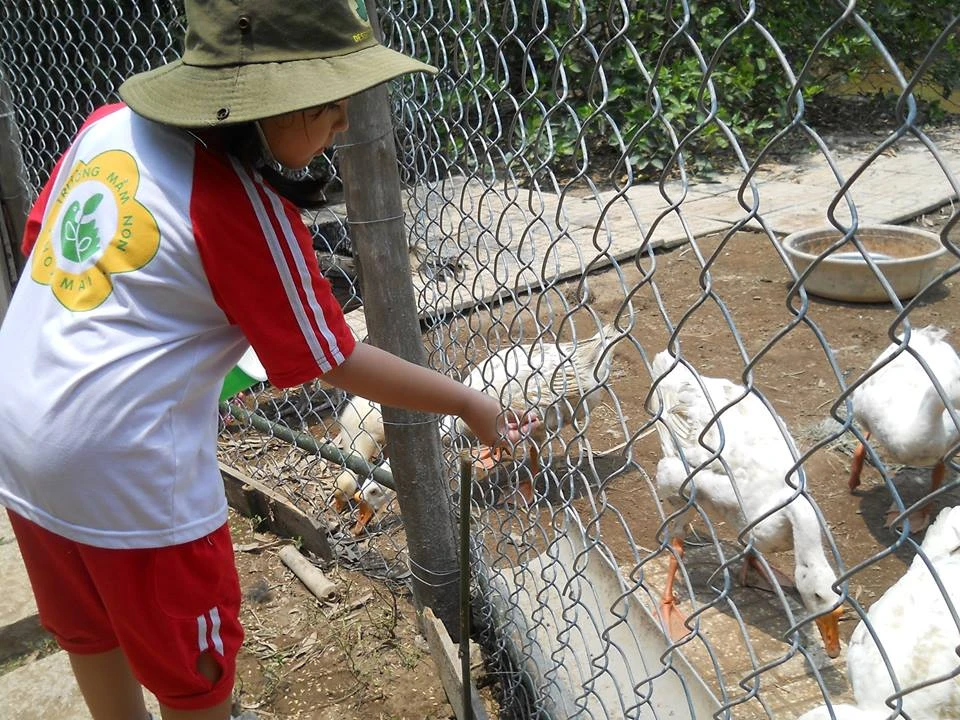 Ngộ nghĩnh bé mầm non tập làm nông dân ảnh 14