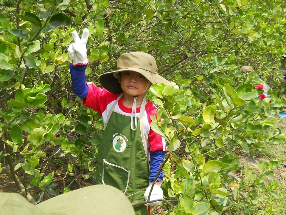 Ngộ nghĩnh bé mầm non tập làm nông dân ảnh 8