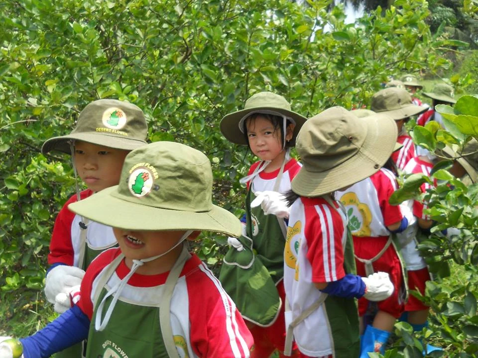 Ngộ nghĩnh bé mầm non tập làm nông dân ảnh 6