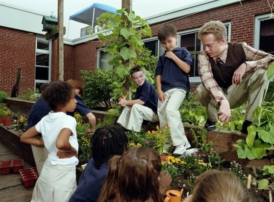 Tiết học 'hỗn hợp' lý thú ở Phần Lan ảnh 1