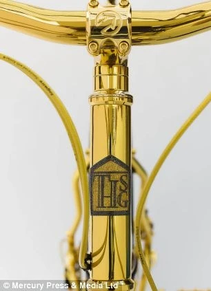 Cận cảnh xe đạp có giá... 21 tỉ đồng Việt Nam ảnh 5