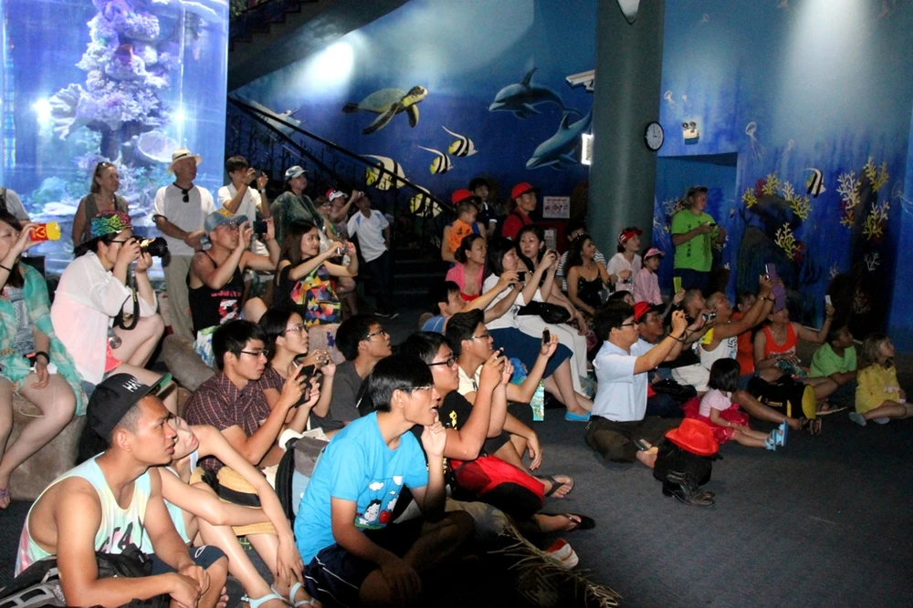 Chuyện thật về “ba nàng tiên cá” ảnh 7