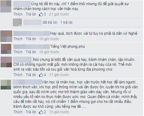 Đề thi “lạ” dịch thơ…tiếng Hà Tĩnh: Bình thường ảnh 2