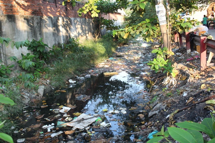 Kênh Gia Định 'chết': Phận người bên dòng kênh 'Nước đen' ảnh 1 Kênh Gia Định 'chết': Phận người bên dòng kênh 'Nước đen' ảnh 1