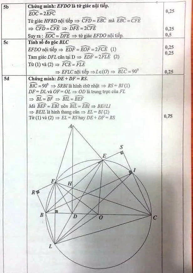 Công bố đáp án chính thức thi tuyển sinh lớp 10 tại TP.HCM ảnh 2