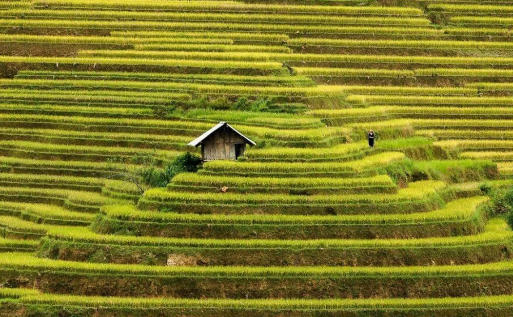 Sững sờ vẻ đẹp những ngôi nhà biệt lập ảnh 11