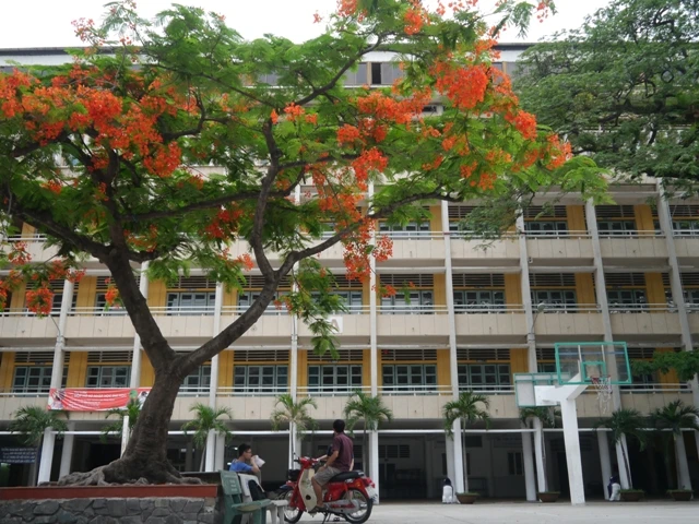 THPT chuyên Trần Đại Nghĩa, cú nhảy vọt của ngôi trường dòng năm nào ảnh 9