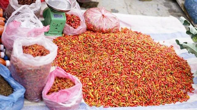 Đến Bắc Hà ngắm tam giác mạch nở muộn ảnh 15