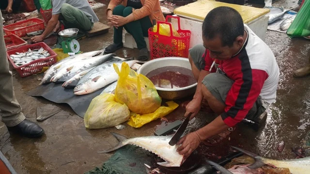 Dân ùn ùn đổ ra chợ vì ngư dân trúng đậm cá bẹ xước ảnh 4