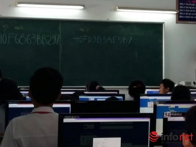 Đề thi ViOlympic quá khó, học sinh bật khóc, giáo viên lo lắng ảnh 2