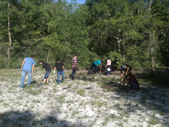 Đi picnic trồng cây gây rừng ảnh 5