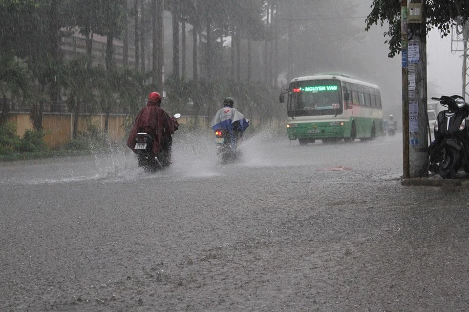 TP.HCM lại mưa, nước đang ngập nhiều tuyến đường ảnh 1
