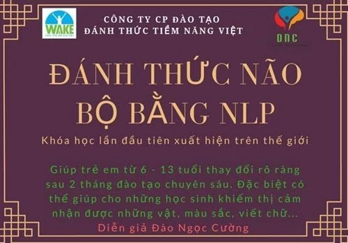 Logo quảng cáo của Công ty CP Đào tạo đánh thức tiềm năng Việt về Khóa đào tạo đánh thức não bộ bằng NLP.