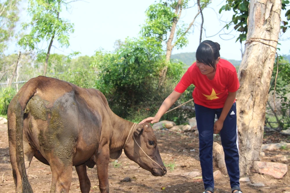 Em Sơn Thị Trâm vuốt ve làm quen con bò mà các anh chị vừa mới tặng.