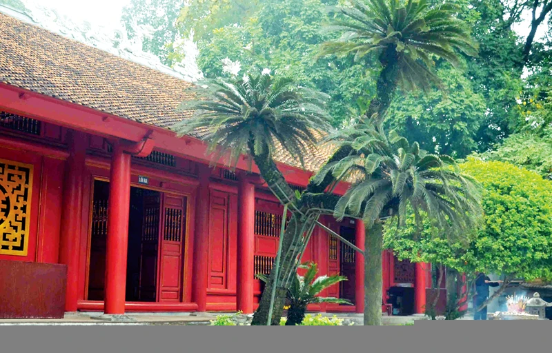 Kết quả hình ảnh cho cây thiên tuế đền Hùng