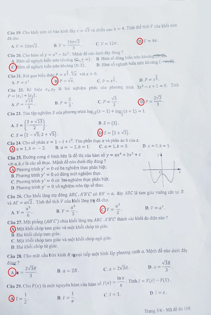 Đề thi, bài giải gợi ý các mã đề môn Toán ảnh 11