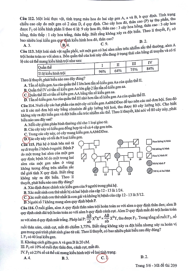 Đề thi, gợi ý bài giải môn Sinh học ảnh 8