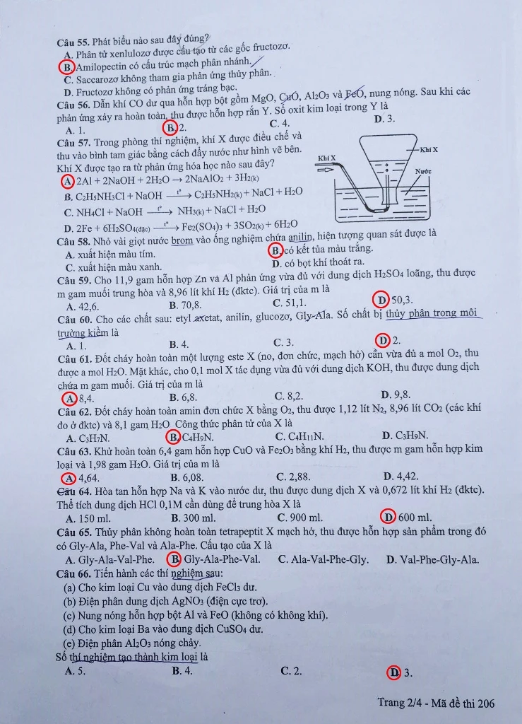 Đề thi, gợi ý bài giải các mã đề môn Hóa học ảnh 5