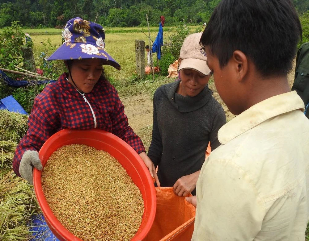 Người Rục đang bị lũ vây ảnh 12