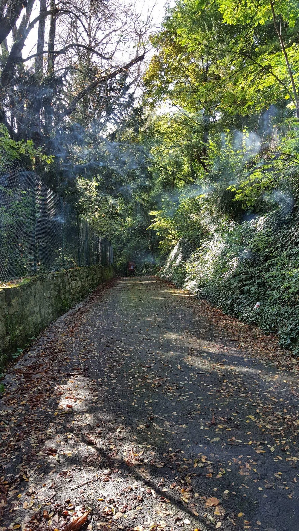 Lâu đài của Alexandre Dumas: Tuyệt tác của cơn điên ảnh 2