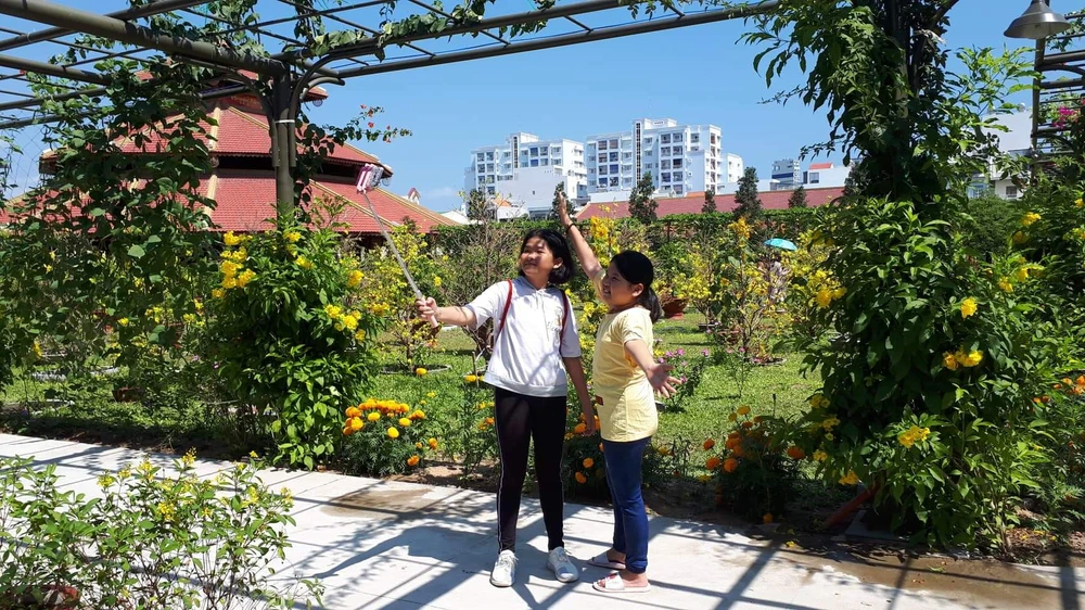 Ngạc nhiên dân Nha Trang kéo đến Vườn Mai để chụp ảnh ảnh 8