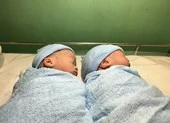 Người thứ hai mang thai hộ sinh đôi tại BV Từ Dũ