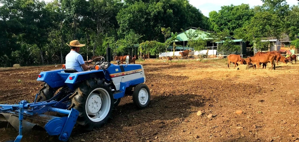 Cùng thầy trò GS Nguyễn Văn Thuận chờ 'khai sinh' bò nhân bản ảnh 3