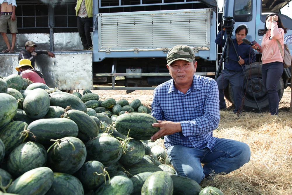 Nước mắt dưa hấu mùa Tết ảnh 3