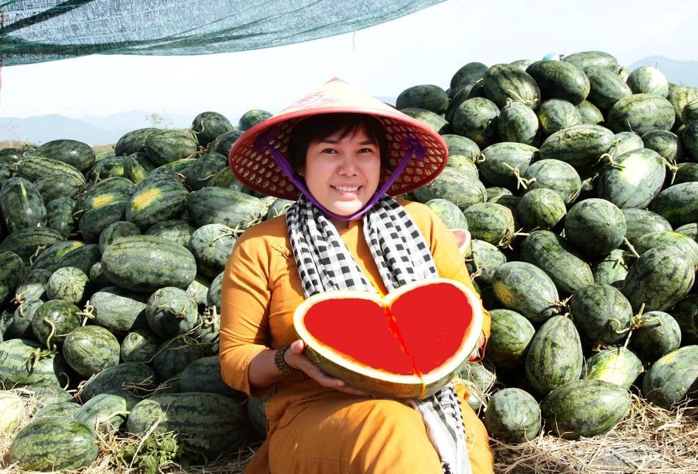 Nước mắt dưa hấu mùa Tết ảnh 4