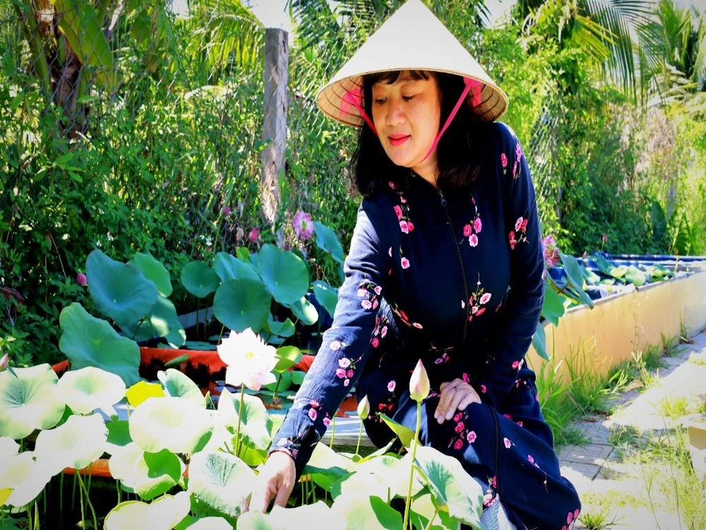 Mê mẩn với vườn sen mini của cô giáo ảnh 1