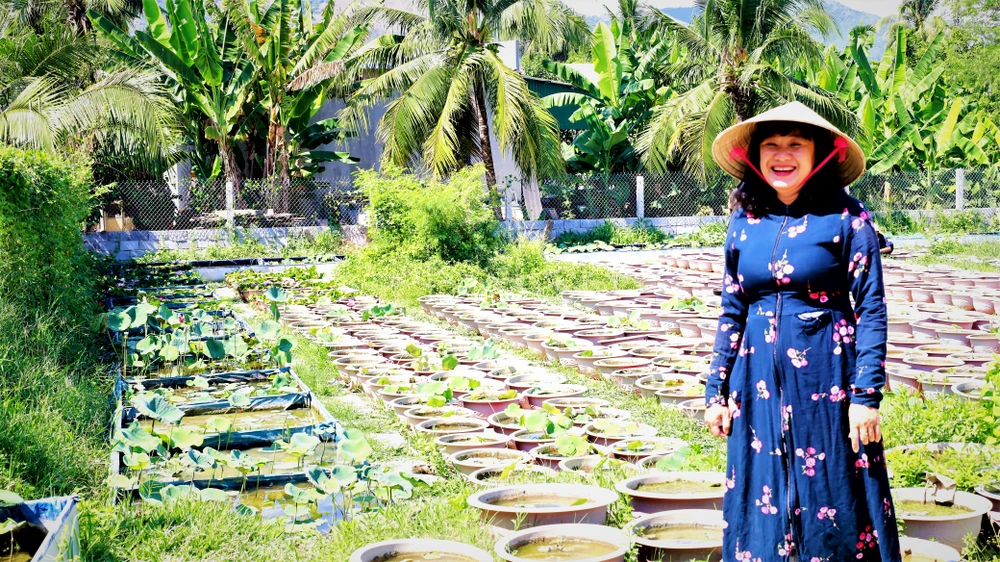 Mê mẩn với vườn sen mini của cô giáo ảnh 10