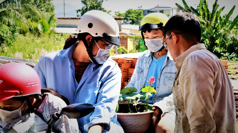 Mê mẩn với vườn sen mini của cô giáo ảnh 9