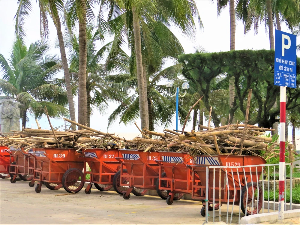 Hàng trăm đoàn viên công an, biên phòng... làm đẹp bờ biển Nha Trang ảnh 2 Hàng trăm đoàn viên công an, biên phòng... làm đẹp bờ biển Nha Trang ảnh 2