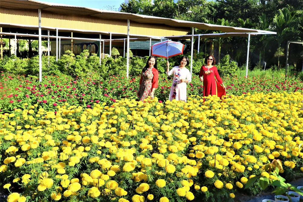 Điểm du xuân đậm đà bản sắc dân tộc ảnh 8