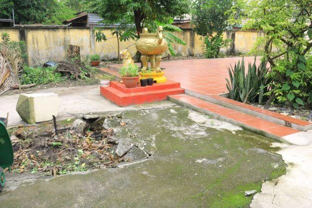 Một trong 4 gốc cây bị bật gốc, tạo hố lớn giữa sân đình. Ảnh: Khánh