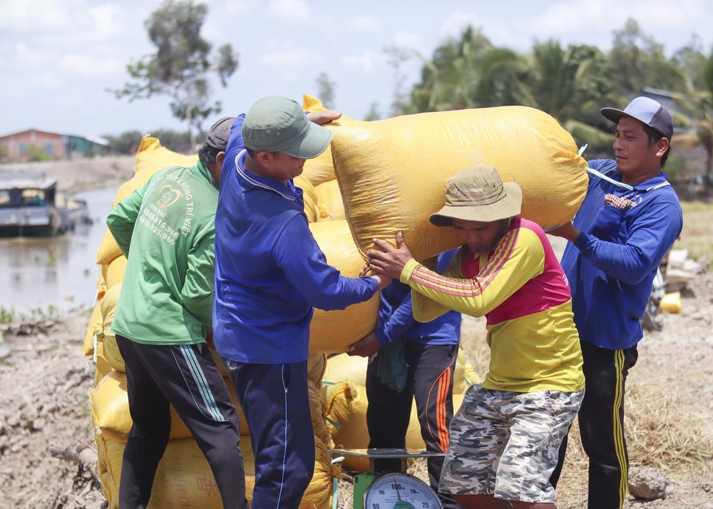 Anh Lê Thanh Phong (37 tuổi, xã Nhơn Hòa Lập, huyện Tân Thạnh)