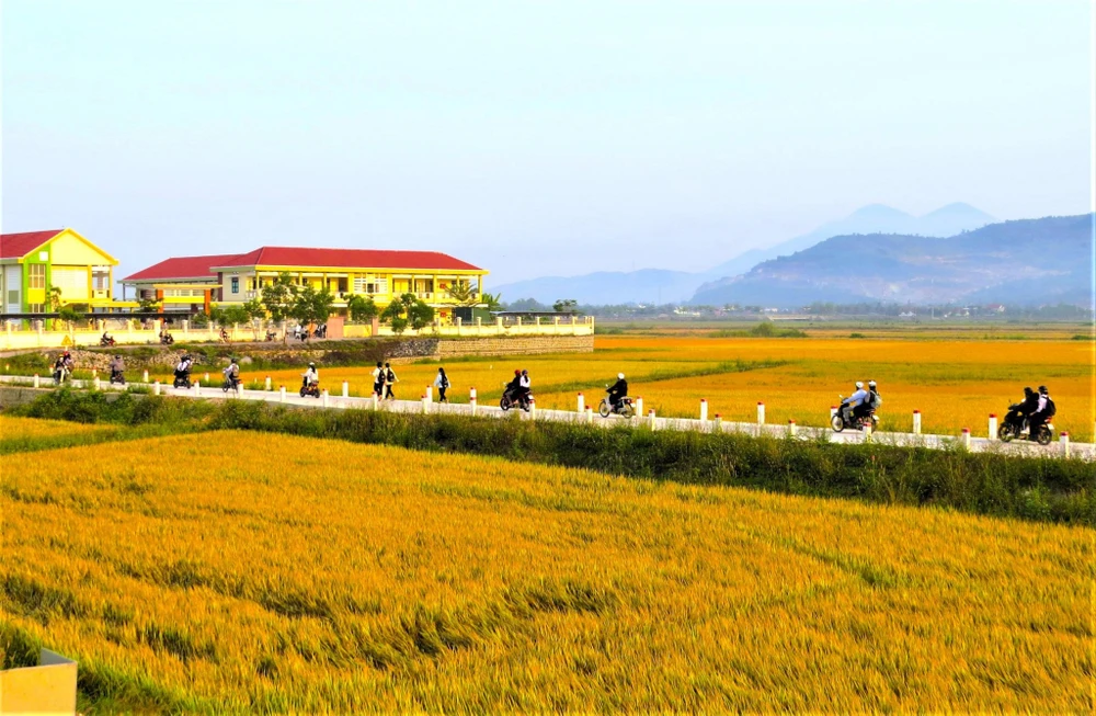 Ngôi trường nằm cạnh những cánh đồng lúa giáp ranh hai xã Diên Thạnh và Diên Lạc thuộc huyện Diên khánh, tỉnh Khánh Hòa