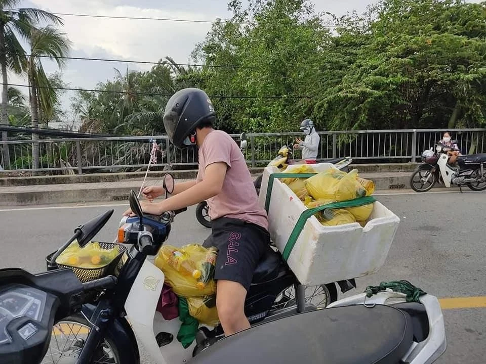 giấy phép lái xe