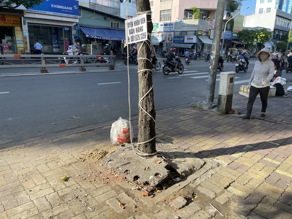 cây xanh thoi thóp