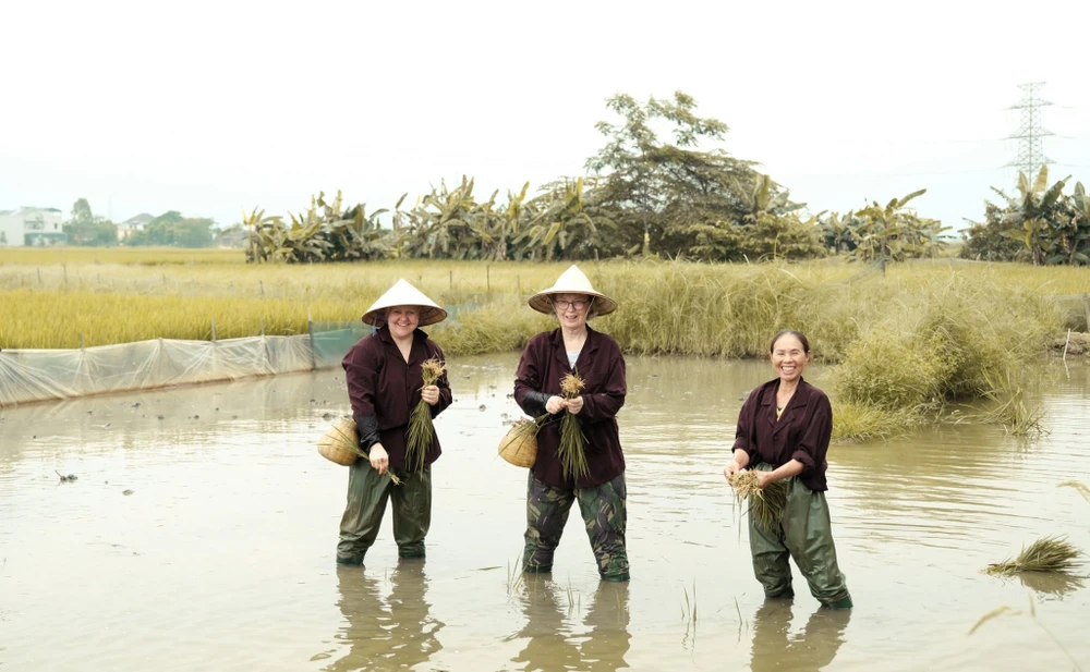 1- Van long green.jpg