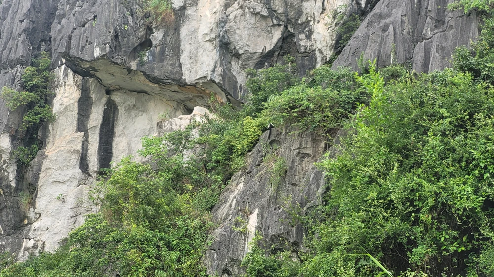 dam Van Long (62).jpg