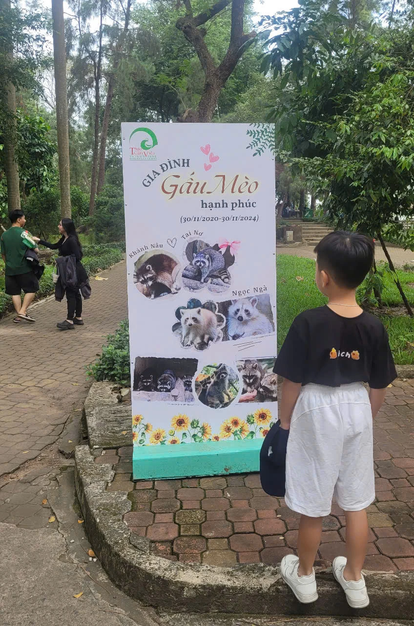 gau meo thao cam vien 4.jpg