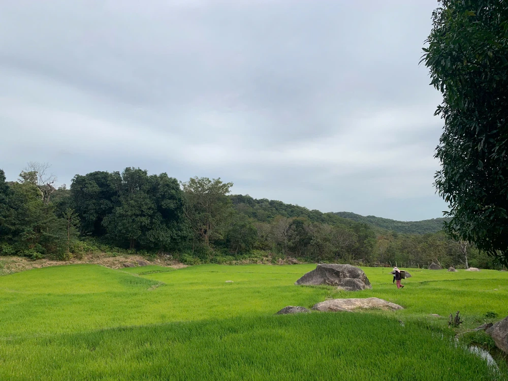 Ngắm vẻ đẹp hoang sơ, cuốn hút của Vườn quốc gia Núi Chúa - Phước Bình