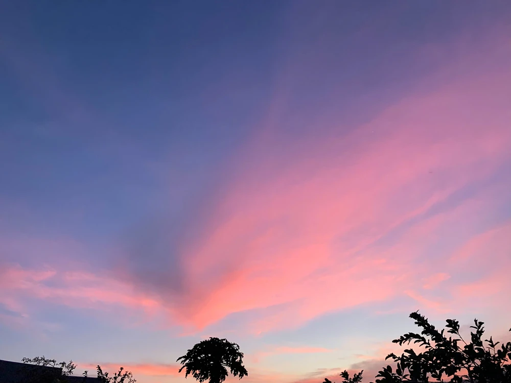 Ngắm vẻ đẹp hoang sơ, cuốn hút của Vườn quốc gia Núi Chúa - Phước Bình