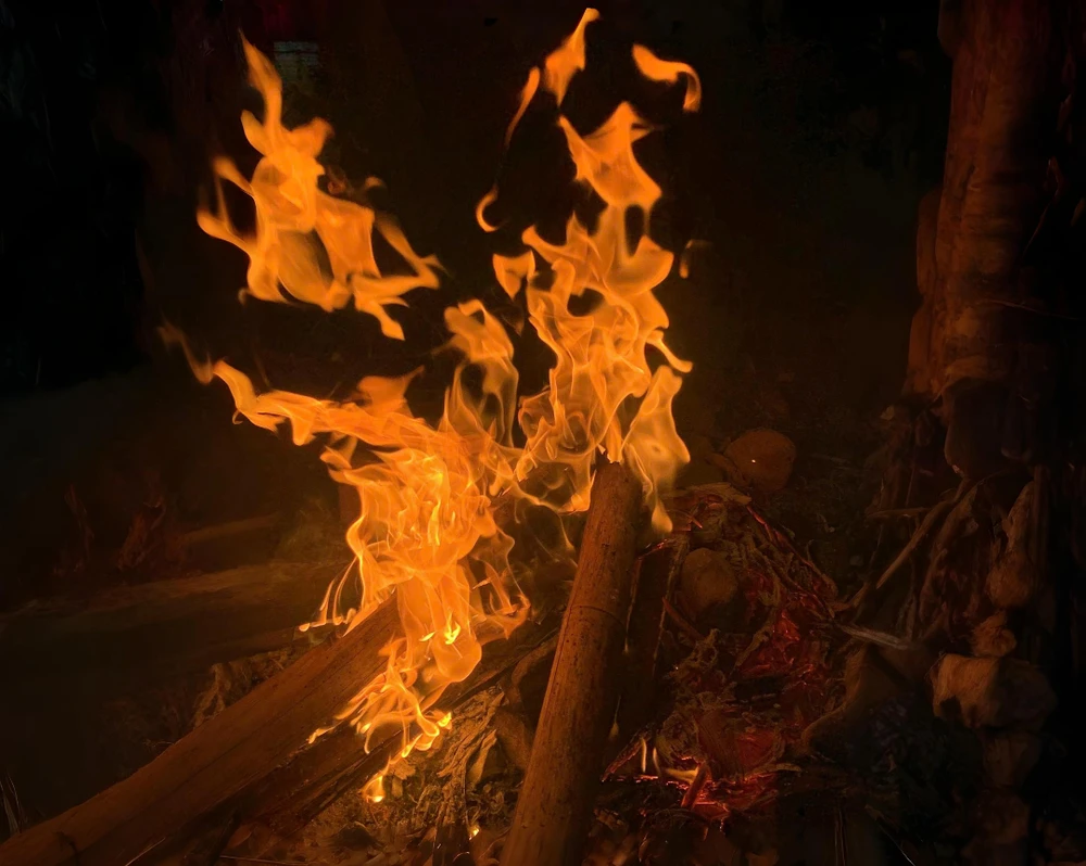 Ngắm vẻ đẹp hoang sơ, cuốn hút của Vườn quốc gia Núi Chúa - Phước Bình